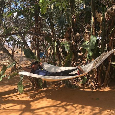 Отель Honeyguide Ranger Camp Golders Green Экстерьер фото